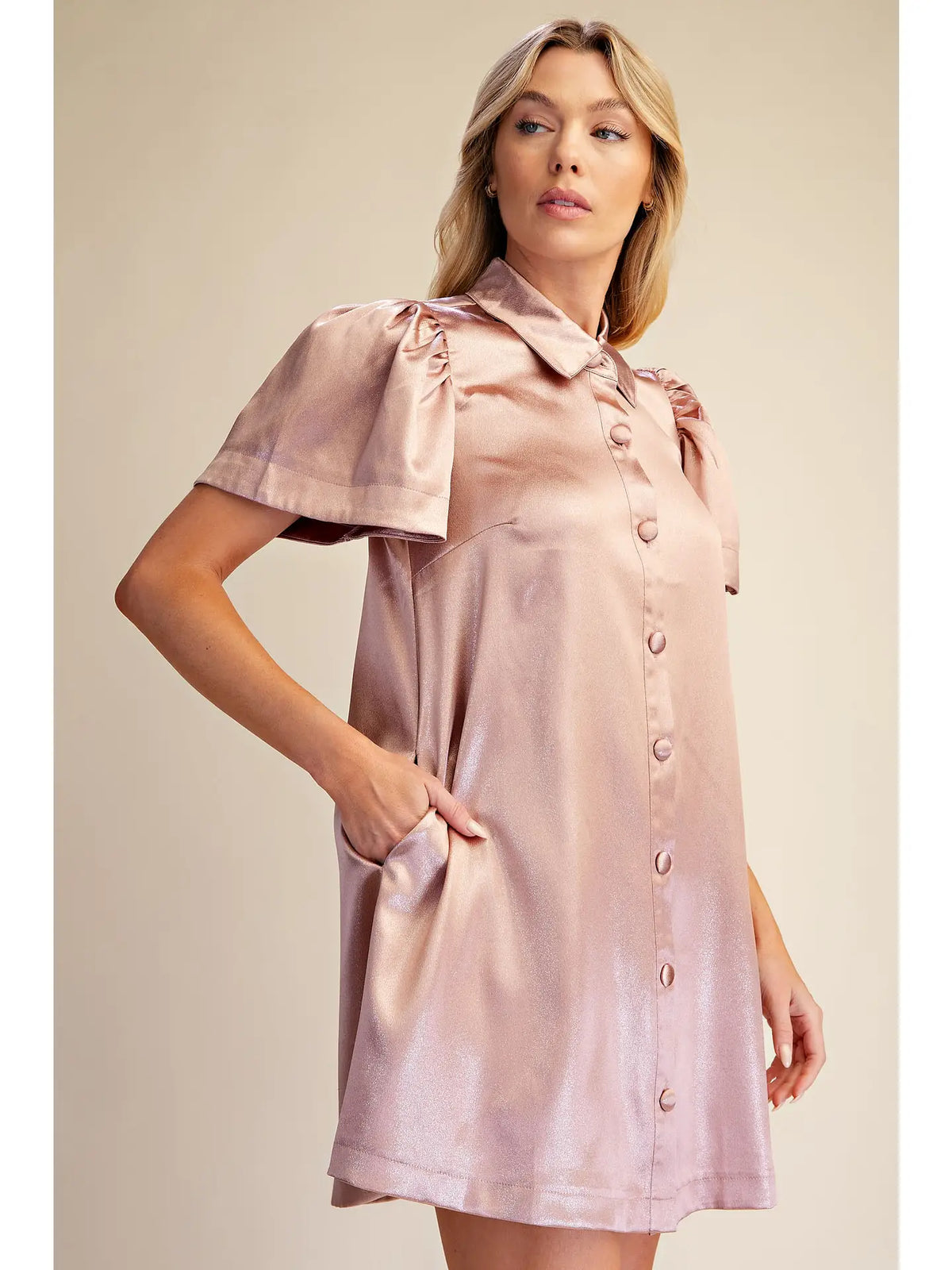 The Sheena Mini Dress
