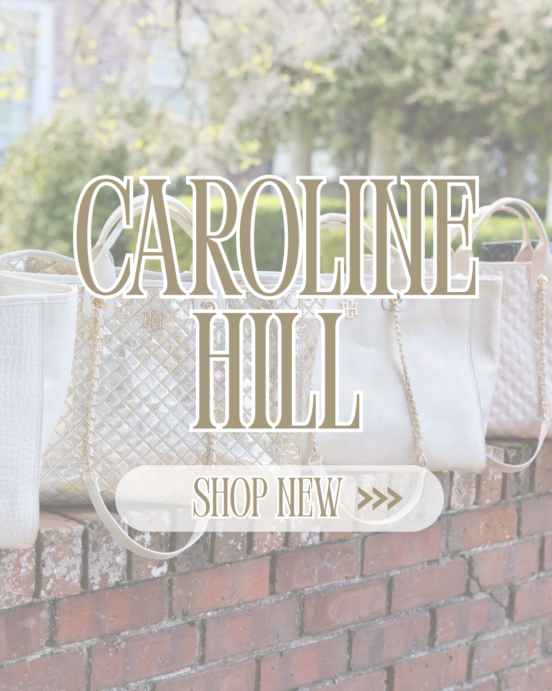 CAROLINE HILL