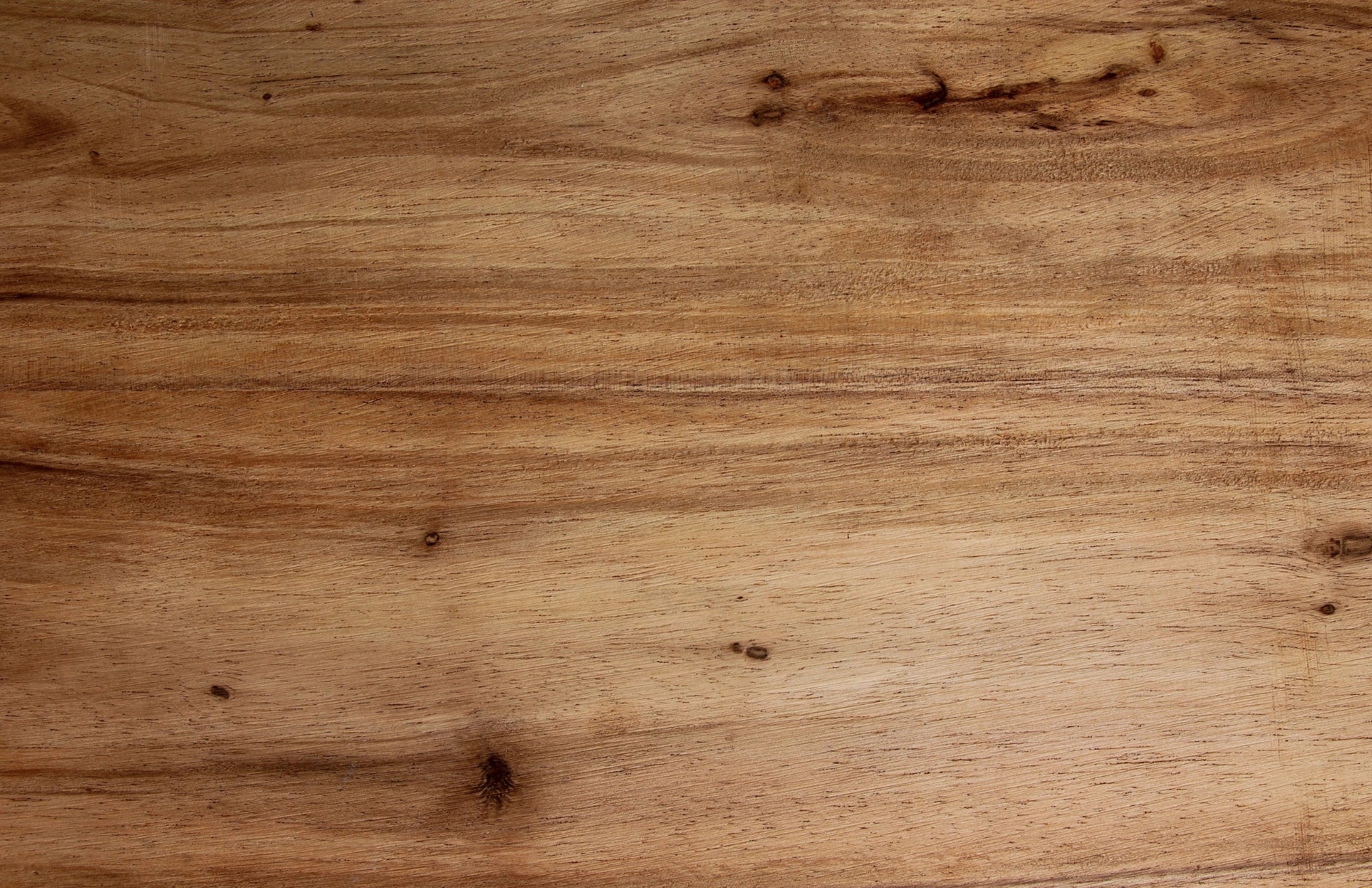 11 x 17 Charcuterie Map Insert Set of 10