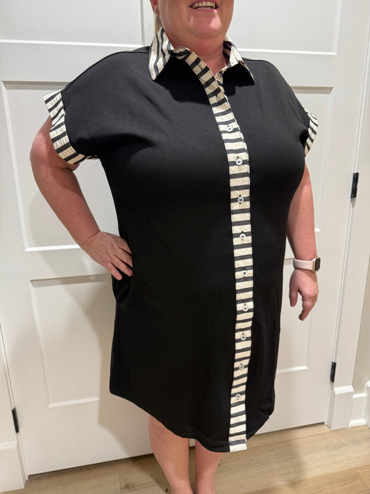 Clean Lines Button Up Dress