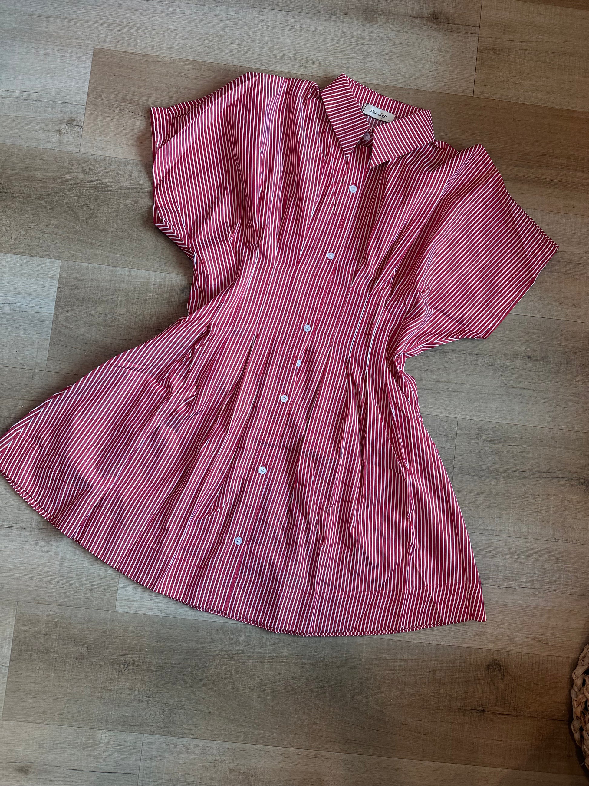 Mrs. Terry Pleated Mini Dress