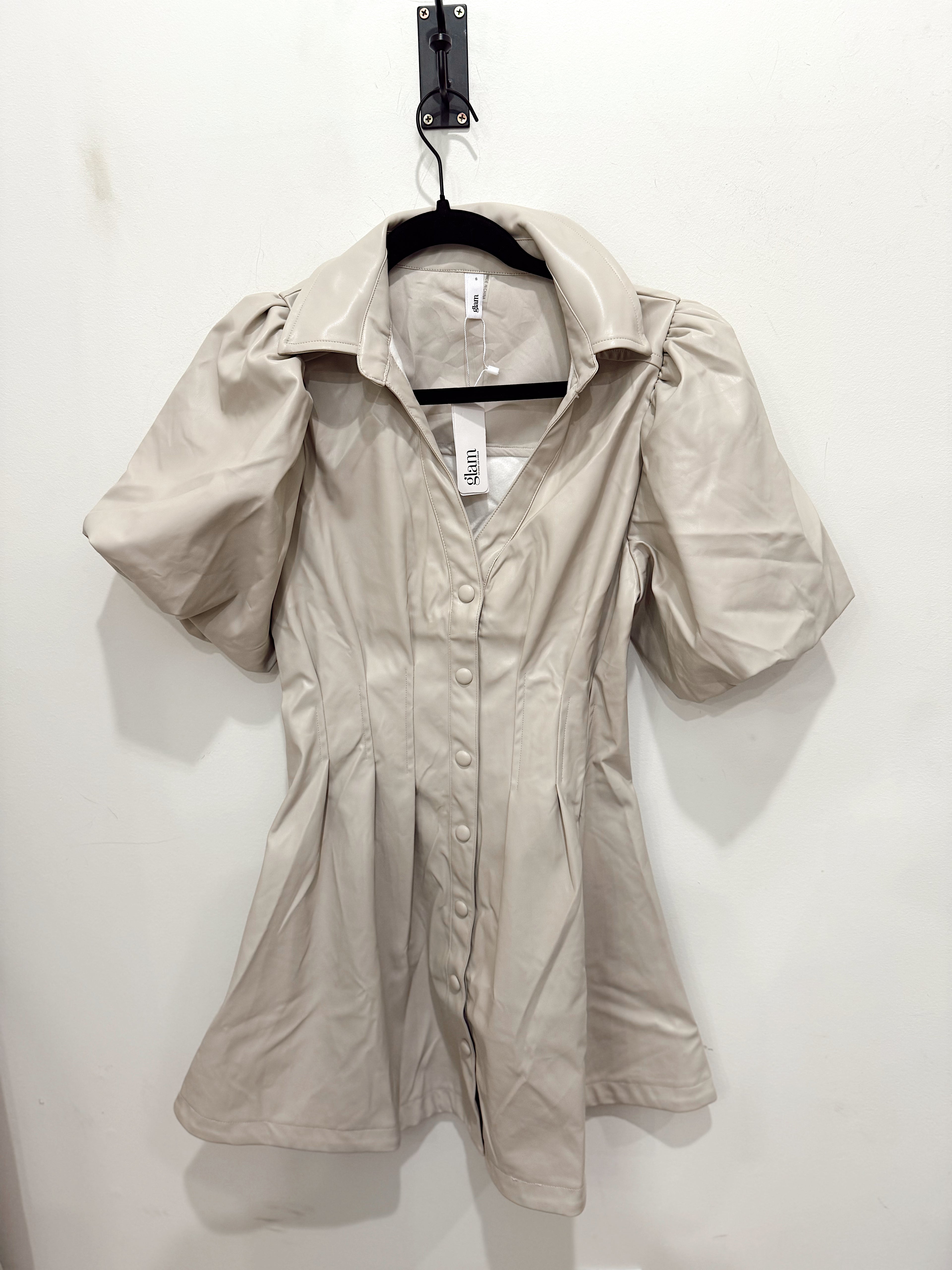Harvest Leather Mini Dress