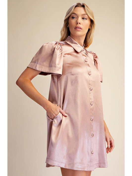 The Sheena Mini Dress