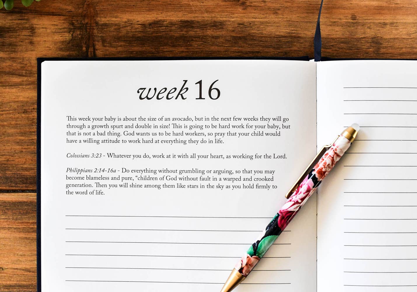 Duncan & Stone Paper Co. - Dear Baby: A Pregnancy Prayer Journal & Memory Book for Moms: Ivory