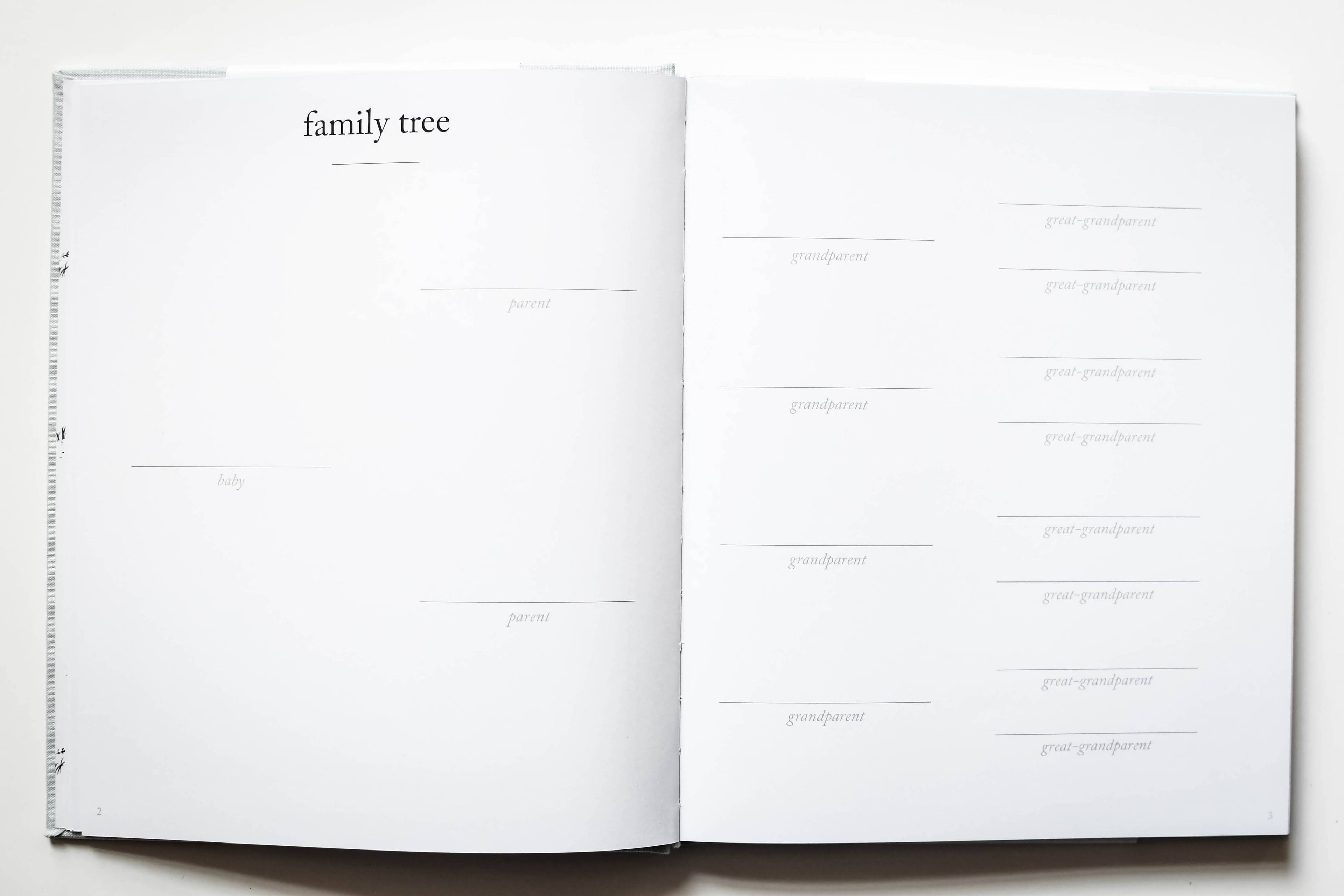 Duncan & Stone Paper Co. - Baby's First Year Memory Book & Photo Album | Mother's Day: Sky Blue
