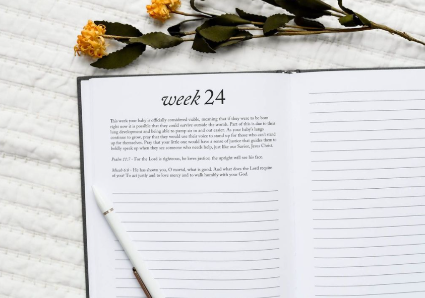 Duncan & Stone Paper Co. - Dear Baby: A Pregnancy Prayer Journal & Memory Book for Moms: Ivory