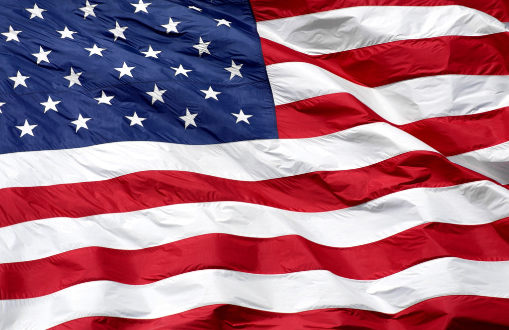 11 x 17 All Year Long Vol 3 Insert Set of 12