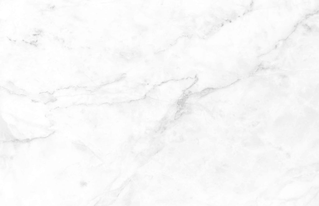 11 x 17 Charcuterie Map Insert Set of 10